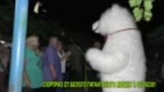 067192301-Сюрприз  поздравление от белого медведя Чака Норис...