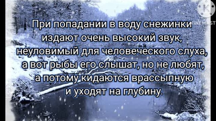 Сколько  сегодня в Хабаровске снега намело. Все белым-бело. А скольк ...