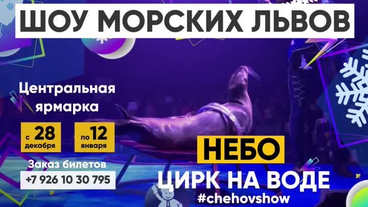 Цирк на воде в Южно-Сахалинске!