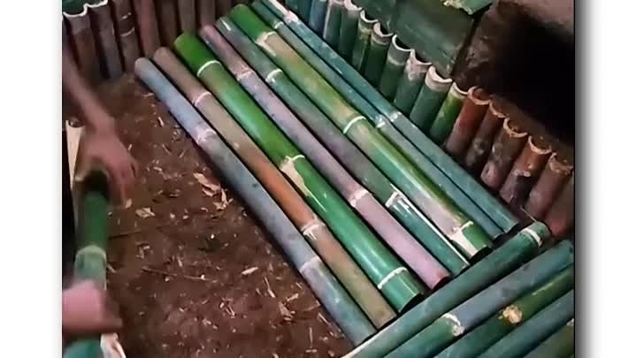 Строит уютную хижину из бамбука
