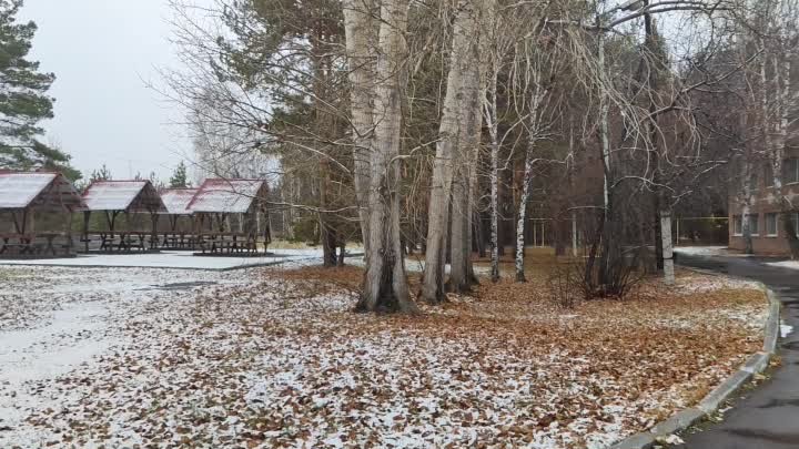 Ролик Областной больницы Маян