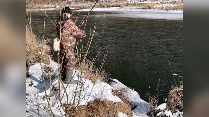 Съездили на часок