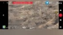 Группа Бродяги выявила снайпера ВСУ и накрыла его FPV-дроном...