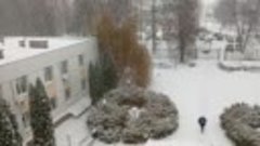 У нас снег в Рамони.... 24 ноября 2023 года. видео Николая Х...