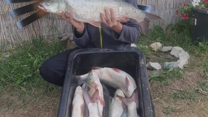 База Кигач-хаус рыбалка в Астрахани тел.89611371111 16 октября 
