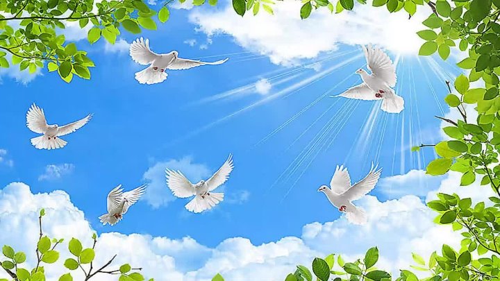 Духов день фото Духов день фото