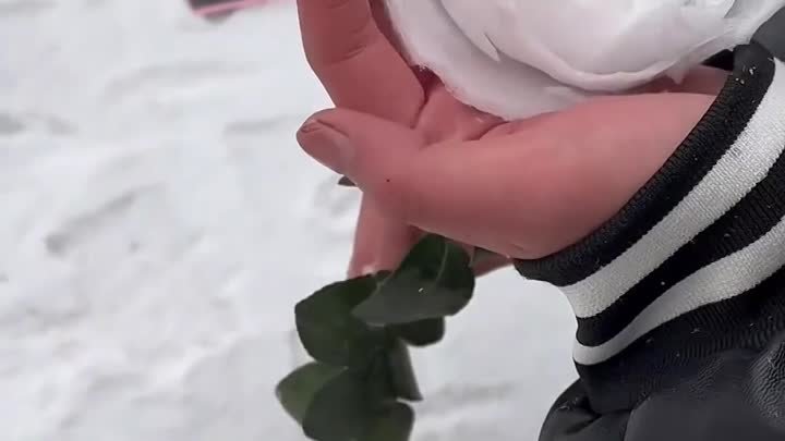 Завораживающий процесс создания розы из снега