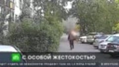 В Серпухове мужчина облил бензином свою бывшую жену и поджег