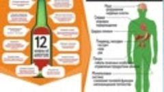 Воздействие алкоголя на организм