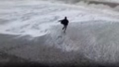 🌊 Неравнодушный парень спас птицу от шторма в Абхазии

Ястр...