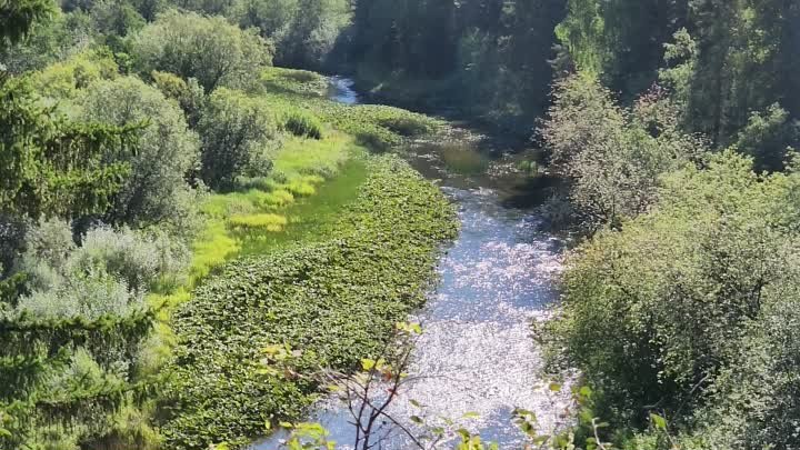 Река Шишим в августе