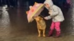 Девочка укрывает собаку от дождя