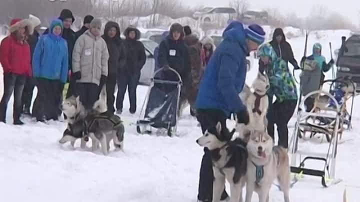 Инструкция по применению