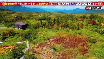 土曜スペシャル 231021 動画  鉄道沿線歩き旅17 絶景の紅葉を見に行くぞ | 2023年10月21日