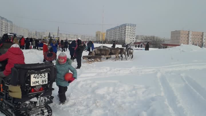 02.03.2019. День Оленеводов