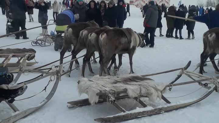 02.03.2019. День Оленеводов-2