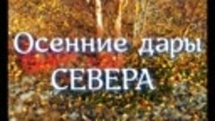 Осенние дары нашего СЕВЕРА  (Мурманская обл.)