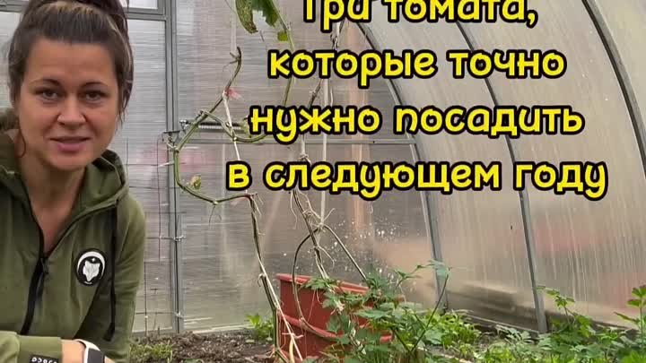 Томаты, которые нужно посадить в следующем году 🍅