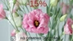 С 23 по 31 октября скидка на семена Эустомы -15%