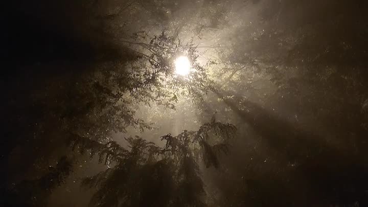 Таинственный туман. Youast Астрахань.