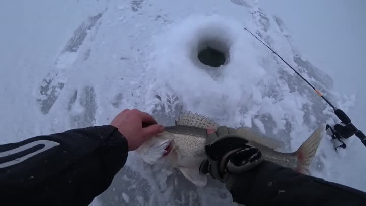 Первый лёд! Рыбалка на судака зимой! Что взять с собой?
