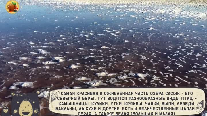 Озеро Сасык-Сиваш