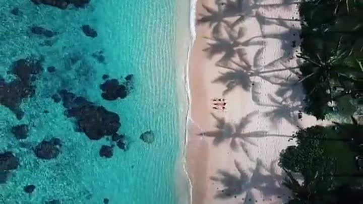 Hawaii.mp4