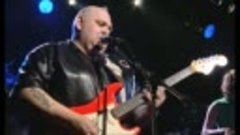 Popa Chubby  I Can&#39;t See the Light of Day
