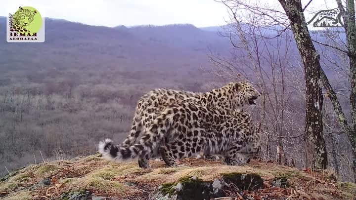 Одно из любимых мест обитателей  Национального парка «Земля леопарда»