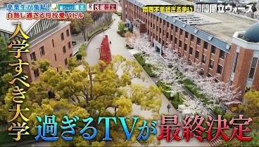 なるみ岡村過ぎるＴＶ 231106 動画 | 2023年11月6日