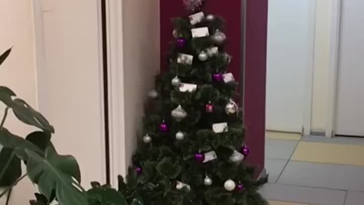 🎄