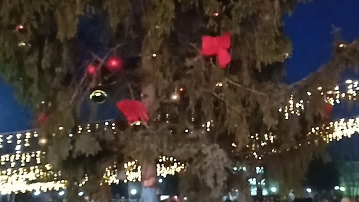 Зажжение главной ёлки на площади Ленина