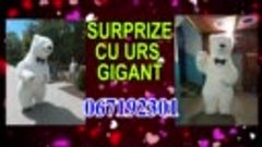 T. 067192301 Surpriză cu Ursul  Gigant, pentru mama şi bunic...