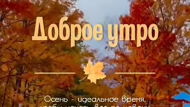 Доброе утро