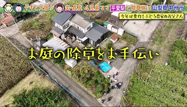 ヤギと大悟 231117 動画 平愛梨、長友とのブラボー秘話！ | 2023年11月17日