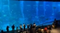 Aquarium SG 