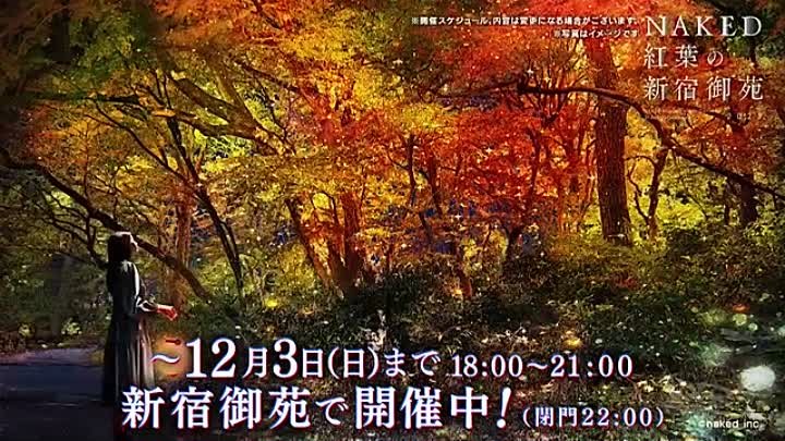 笑ってコラえて 231129 動画 2時間SP▼人気俳優・佐野勇斗が超能力犬と静岡でネタ探しの旅 | 2023年11月29日