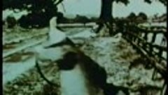 TheRunningJumpingAndStandingStillFilm1959_1