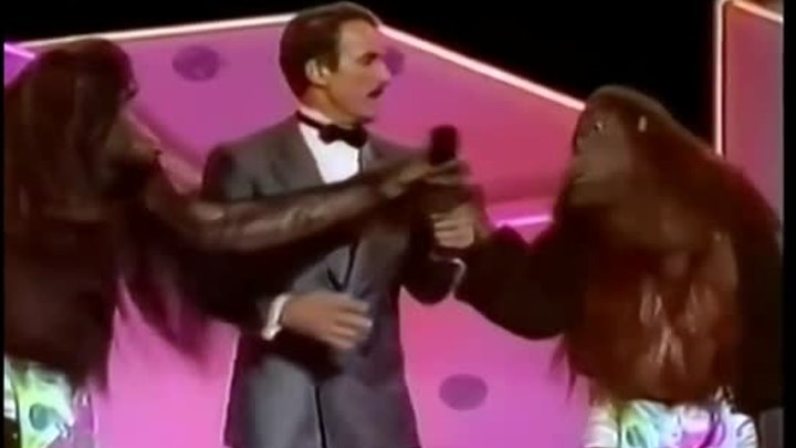 Легенда !!!Орангутанги из шоу Bobby Berosini (юмор)