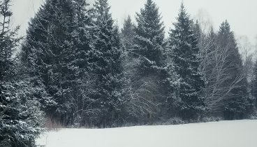 ॐ ВЕДИЧЕСКОЕ РОДНОВЕРИЕ ‡ - ВСТРЕЧА В ЛЕСУ (Премьера короткометражно ...