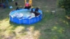 Bears take over Rockaway Township pool
