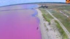 Невероятно красивое розовое озеро Сасык-Сиваш в Крыму с дрон...