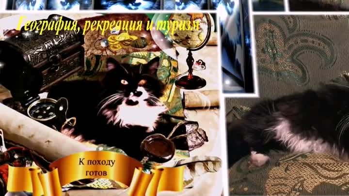 С Днём Рождения!!! Любимый Котик!!!