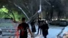 Пьяные мигранты напали на ветеранов СВО в Брянске