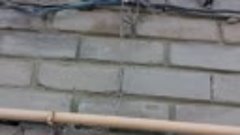фронтон и крышу подняло  трещина в стене