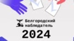 «Увидеть весь избирательный процесс изнутри»