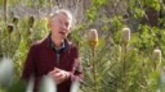 Gardening Australia episode 37 2023