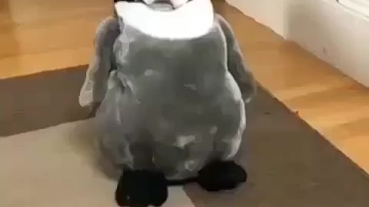 Милые "пингвины"