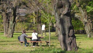 ぶらサタ・有吉くんの正直さんぽ 231209 動画 | 2023年12月9日