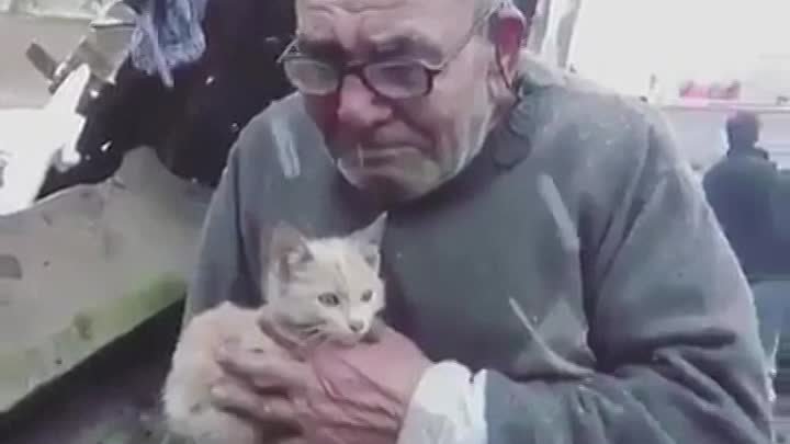 После пожара, хозяин нашел своего кота. До слез!